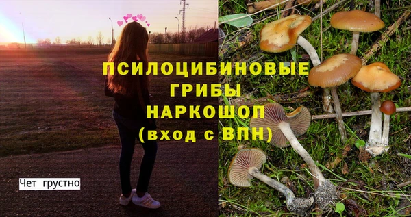 бошки Абаза